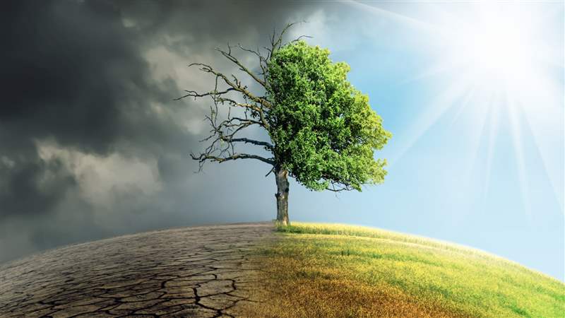 圖片由發(fā)現(xiàn)雜志/Shutterstock 提供