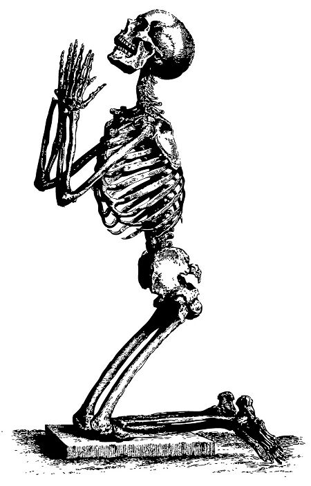 昆侖的萬圣節骷髏限量版手表